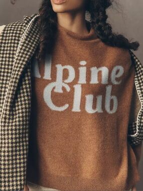 Anthropologie Pilcro Mockneck Alani Cashmere Sweater Alpine Club - Small